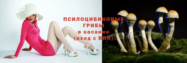 apvp Беломорск