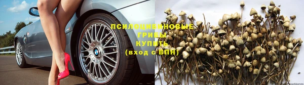 синтетический гашиш Белокуриха