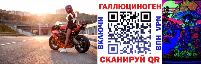 Купить где  Нефтеюганск  Псилоцибиновые грибы GOLDEN TEACHER 